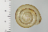  ( - SDNCU-A1395)  @14 [ ] Copyright (2014) Unspecified Specimen depository of the Graduate School of Natural Sciences, Nagoya City University