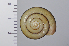  ( - SDNCU-A1077)  @14 [ ] Copyright (2014) Unspecified Specimen depository of the Graduate School of Natural Sciences, Nagoya City University