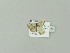  ( - BC ZSM Lep 79651)  @12 [ ] CreativeCommons - Attribution Non-Commercial Share-Alike (2015) Unspecified SNSB, Zoologische Staatssammlung Muenchen