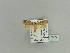  ( - BC ZSM Lep 79866)  @14 [ ] CreativeCommons - Attribution Non-Commercial Share-Alike (2015) Unspecified SNSB, Zoologische Staatssammlung Muenchen