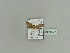  ( - BC ZSM Lep 79977)  @12 [ ] CreativeCommons - Attribution Non-Commercial Share-Alike (2015) Unspecified SNSB, Zoologische Staatssammlung Muenchen