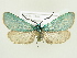  ( - BC ZSM Lep 80751)  @14 [ ] CreativeCommons - Attribution Non-Commercial Share-Alike (2015) Unspecified SNSB, Zoologische Staatssammlung Muenchen