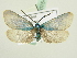  ( - BC ZSM Lep 80754)  @14 [ ] CreativeCommons - Attribution Non-Commercial Share-Alike (2015) Unspecified SNSB, Zoologische Staatssammlung Muenchen