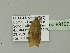  ( - BC ZSM Lep 89107)  @12 [ ] CreativeCommons - Attribution Non-Commercial Share-Alike (2015) Unspecified SNSB, Zoologische Staatssammlung Muenchen