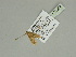  ( - BC ZSM Lep 89909)  @12 [ ] CreativeCommons - Attribution Non-Commercial Share-Alike (2015) Axel Hausmann/Bavarian State Collection of Zoology (ZSM) SNSB, Zoologische Staatssammlung Muenchen