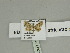  (Idaea fumigata - BC ZSM Lep 89923)  @13 [ ] CreativeCommons - Attribution Non-Commercial Share-Alike (2015) Axel Hausmann/Bavarian State Collection of Zoology (ZSM) SNSB, Zoologische Staatssammlung Muenchen