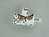  ( - BC ZSM Lep 90054)  @12 [ ] CreativeCommons - Attribution Non-Commercial Share-Alike (2015) Axel Hausmann/Bavarian State Collection of Zoology (ZSM) SNSB, Zoologische Staatssammlung Muenchen