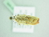  ( - BC ZSM Lep 91955)  @13 [ ] CreativeCommons - Attribution Non-Commercial Share-Alike (2015) Axel Hausmann/Bavarian State Collection of Zoology (ZSM) SNSB, Zoologische Staatssammlung Muenchen