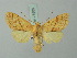  ( - BC ZSM Lep 75506)  @14 [ ] CreativeCommons - Attribution Non-Commercial Share-Alike (2015) Unspecified SNSB, Zoologische Staatssammlung Muenchen