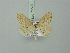  (Idaea macilentaria - BC ZSM Lep 75597)  @13 [ ] CreativeCommons - Attribution Non-Commercial Share-Alike (2015) Unspecified SNSB, Zoologische Staatssammlung Muenchen
