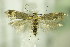 ( - BC ZSM Lep 76388)  @14 [ ] CreativeCommons - Attribution Non-Commercial Share-Alike (2015) Unspecified SNSB, Zoologische Staatssammlung Muenchen