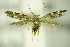  ( - BC ZSM Lep 76401)  @13 [ ] Unspecified (default): All Rights Reserved  Unspecified Unspecified