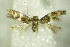  ( - BC ZSM Lep 76774)  @11 [ ] Unspecified (default): All Rights Reserved  Unspecified Unspecified