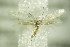  ( - BC ZSM Lep 76790)  @11 [ ] Unspecified (default): All Rights Reserved  Unspecified Unspecified