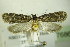  ( - BC ZSM Lep 76866)  @14 [ ] Unspecified (default): All Rights Reserved  Unspecified Unspecified