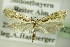  ( - BC ZSM Lep 76923)  @11 [ ] Unspecified (default): All Rights Reserved  Unspecified Unspecified