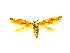  ( - BC ZSM Lep 76966)  @12 [ ] Unspecified (default): All Rights Reserved  Unspecified Unspecified
