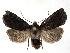  ( - BC ZSM Lep 76978)  @14 [ ] Unspecified (default): All Rights Reserved  Unspecified Unspecified