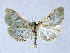  ( - BC ZSM Lep 76988)  @13 [ ] Unspecified (default): All Rights Reserved  Unspecified Unspecified
