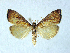  ( - BC ZSM Lep 76990)  @13 [ ] Unspecified (default): All Rights Reserved  Unspecified Unspecified