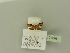  ( - BC ZSM Lep 77095)  @11 [ ] Unspecified (default): All Rights Reserved  Unspecified Unspecified