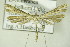  ( - BC ZSM Lep 82416)  @13 [ ] Unspecified (default): All Rights Reserved  Unspecified Unspecified