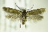  ( - BC ZSM Lep 83052)  @15 [ ] CreativeCommons - Attribution Non-Commercial Share-Alike (2015) Unspecified SNSB, Zoologische Staatssammlung Muenchen