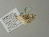  ( - BC ZSM Lep 77505)  @11 [ ] CreativeCommons - Attribution Non-Commercial Share-Alike (2013) Axel Hausmann/Bavarian State Collection of Zoology (ZSM) SNSB, Zoologische Staatssammlung Muenchen