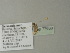  ( - BC ZSM Lep 77630)  @12 [ ] CreativeCommons - Attribution Non-Commercial Share-Alike (2013) Axel Hausmann/Bavarian State Collection of Zoology (ZSM) SNSB, Zoologische Staatssammlung Muenchen