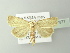  ( - BC ZSM Lep 77977)  @13 [ ] CreativeCommons - Attribution Non-Commercial Share-Alike (2014) Axel Hausmann/Bavarian State Collection of Zoology (ZSM) SNSB, Zoologische Staatssammlung Muenchen