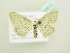  ( - BC ZSM Lep 80813)  @13 [ ] CreativeCommons - Attribution Non-Commercial Share-Alike (2014) Axel Hausmann/Bavarian State Collection of Zoology (ZSM) SNSB, Zoologische Staatssammlung Muenchen