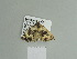  ( - BC ZSM Lep 84319)  @13 [ ] CreativeCommons - Attribution Non-Commercial Share-Alike (2014) Axel Hausmann/Bavarian State Collection of Zoology (ZSM) SNSB, Zoologische Staatssammlung Muenchen