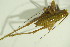  ( - GBOL09808)  @11 [ ] CreativeCommons - Attribution Non-Commercial Share-Alike (2015) Unspecified SNSB, Zoologische Staatssammlung Muenchen