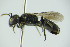  ( - GBOL09899)  @12 [ ] CreativeCommons - Attribution Non-Commercial Share-Alike (2015) Unspecified SNSB, Zoologische Staatssammlung Muenchen