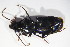  ( - GBOL10670)  @12 [ ] CreativeCommons - Attribution Non-Commercial Share-Alike (2015) Unspecified SNSB, Zoologische Staatssammlung Muenchen