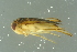  ( - GBOL18773)  @12 [ ] CreativeCommons - Attribution Non-Commercial Share-Alike (2016) SNSB, Staatliche Naturwissenschaftliche Sammlungen Bayerns ZSM (SNSB, Zoologische Staatssammlung Muenchen)