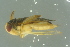  ( - GBOL18775)  @12 [ ] CreativeCommons - Attribution Non-Commercial Share-Alike (2016) SNSB, Staatliche Naturwissenschaftliche Sammlungen Bayerns ZSM (SNSB, Zoologische Staatssammlung Muenchen)