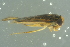  ( - GBOL18789)  @12 [ ] CreativeCommons - Attribution Non-Commercial Share-Alike (2016) SNSB, Staatliche Naturwissenschaftliche Sammlungen Bayerns ZSM (SNSB, Zoologische Staatssammlung Muenchen)