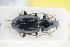  (Agonum antennarium - GBOLRL0526)  @11 [ ] CreativeCommons - Attribution Non-Commercial Share-Alike (2016) SNSB, Staatliche Naturwissenschaftliche Sammlungen Bayerns ZSM (SNSB, Zoologische Staatssammlung Muenchen)