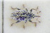  ( - GBOLRL1203)  @11 [ ] CreativeCommons - Attribution Non-Commercial Share-Alike (2016) SNSB, Staatliche Naturwissenschaftliche Sammlungen Bayerns ZSM (SNSB, Zoologische Staatssammlung Muenchen)
