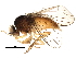  ( - BIOUG21876-A05)  @13 [ ] CreativeCommons - Attribution (2015) CBG Photography Group Centre for Biodiversity Genomics