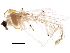  ( - BIOUG22222-G03)  @13 [ ] CreativeCommons - Attribution (2015) CBG Photography Group Centre for Biodiversity Genomics