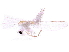  ( - BIOUG22306-B08)  @13 [ ] CreativeCommons - Attribution (2015) CBG Photography Group Centre for Biodiversity Genomics