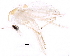  ( - BIOUG22308-B08)  @12 [ ] CreativeCommons - Attribution (2015) CBG Photography Group Centre for Biodiversity Genomics