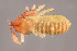  ( - GBOL10942)  @11 [ ] CreativeCommons - Attribution Non-Commercial Share-Alike (2014) Joerg Spelda SNSB, Zoologische Staatssammlung Muenchen