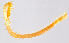  ( - GBOL11221)  @11 [ ] CreativeCommons - Attribution Share-Alike (2025) Joerg Spelda Bavarian State Collection of Zoology