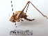  ( - GBOL07241)  @14 [ ] CreativeCommons - Attribution Non-Commercial Share-Alike (2015) Unspecified SNSB, Zoologische Staatssammlung Muenchen