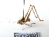  ( - GBOL08027)  @14 [ ] CreativeCommons - Attribution Non-Commercial Share-Alike (2015) Unspecified SNSB, Zoologische Staatssammlung Muenchen
