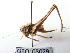  ( - GBOL08029)  @14 [ ] CreativeCommons - Attribution Non-Commercial Share-Alike (2015) Unspecified SNSB, Zoologische Staatssammlung Muenchen