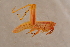  ( - GBOL14110)  @14 [ ] CreativeCommons - Attribution Non-Commercial Share-Alike (2015) Unspecified SNSB, Zoologische Staatssammlung Muenchen